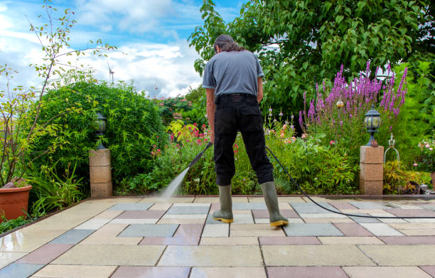 Best Fence Cleaning  in Cedar City, UT